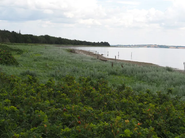 Halshuisene + Enebaerodde Beach (Denemarken)